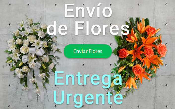 Envío de flores urgente a Tanatorio Manresa